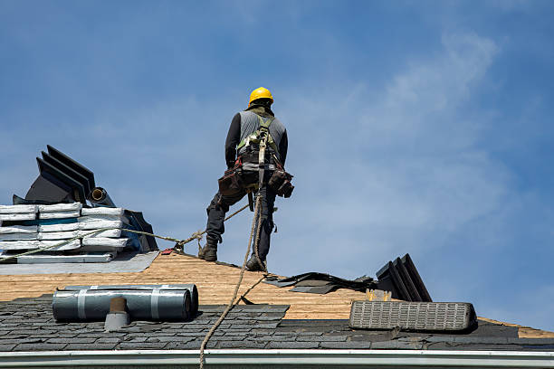 Professional Gutter Installation technician working in Walton, NE
